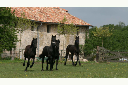 Glamping in de Franse Lorraine Domaine de Saint-Christophe VMP042